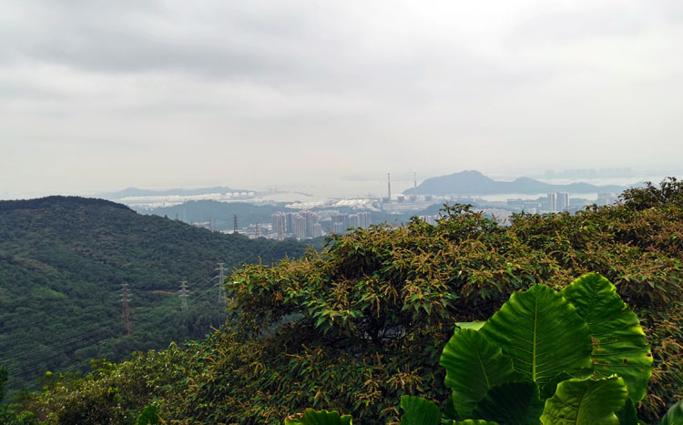 激揚青春、奮勇攀登登山活動